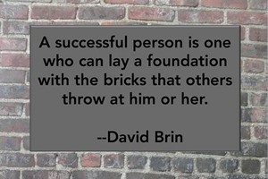 DAVID BRIN: A successful person is one who can lay a foundation with the bricks that others throw at him or her.