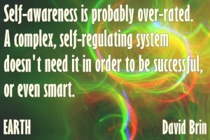 DAVID BRIN: Self-awareness is probably over-rated. A complex, self-regulating system doesn't need it in order to be successful, or even smart.