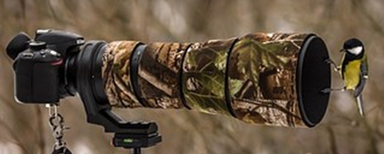 Save Capitalism with Radical Transparency