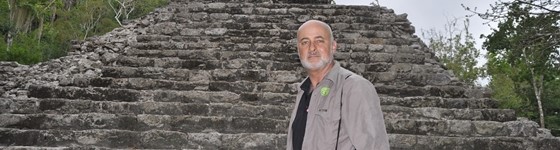 DAVID BRIN's biographical history