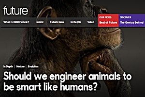 BBC Futures article