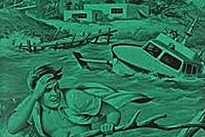 Dolphin Island cover detail